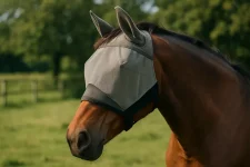 Alles wat je moet weten over vliegenmaskers voor paarden